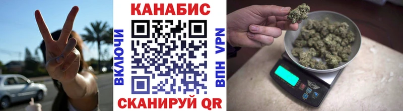 A PVP Грязовец