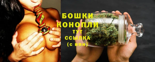 индика Верея