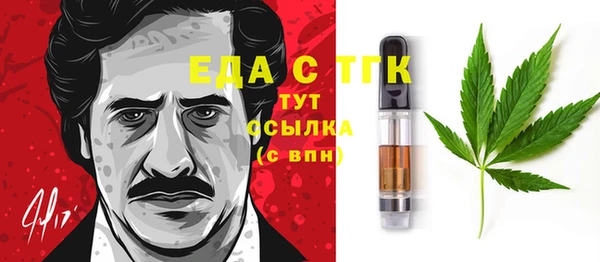 индика Верея