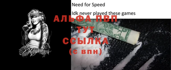 индика Верея
