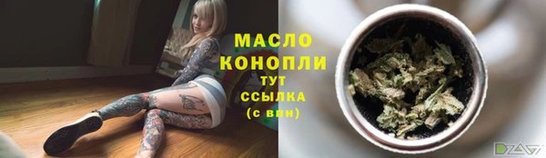 индика Верея