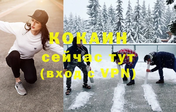 индика Верея