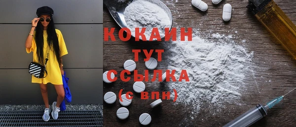 индика Верея