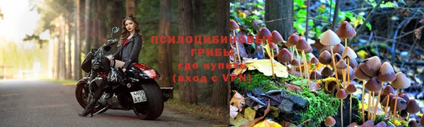 индика Верея