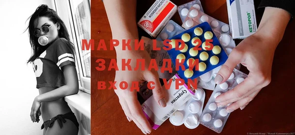 индика Верея